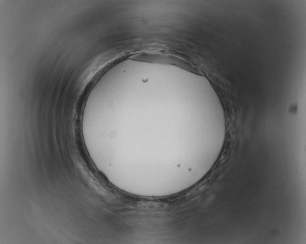 X0000116550242200912311917