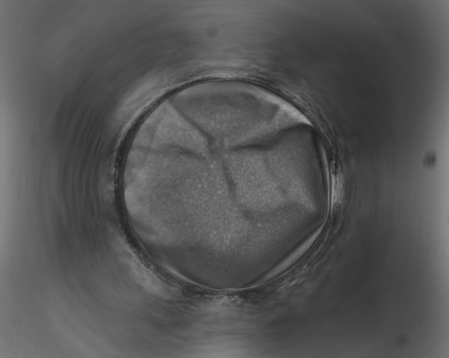 X0000116550243200912311917