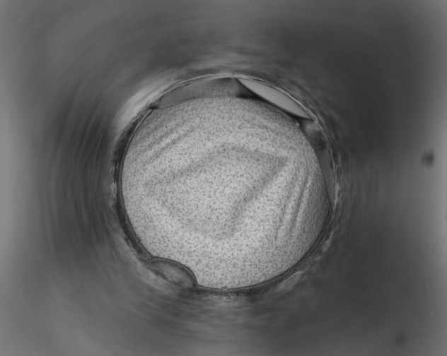 X0000116550245200912311917