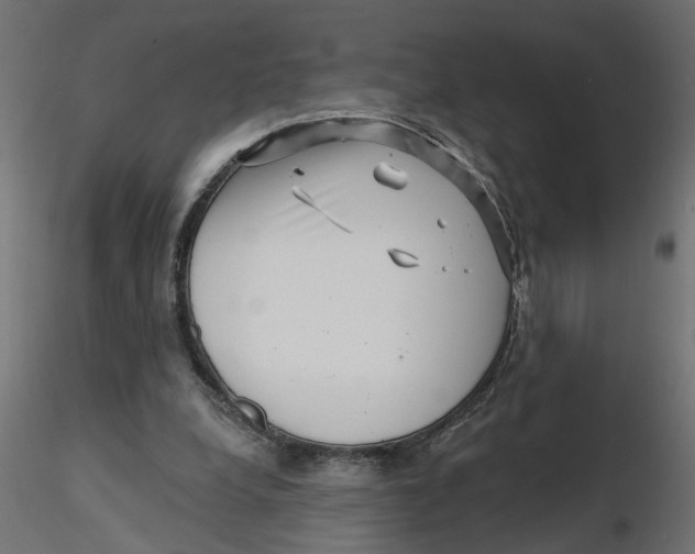 X0000116550248200912311917