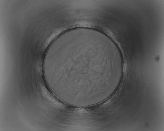 X0000116550249200912311917