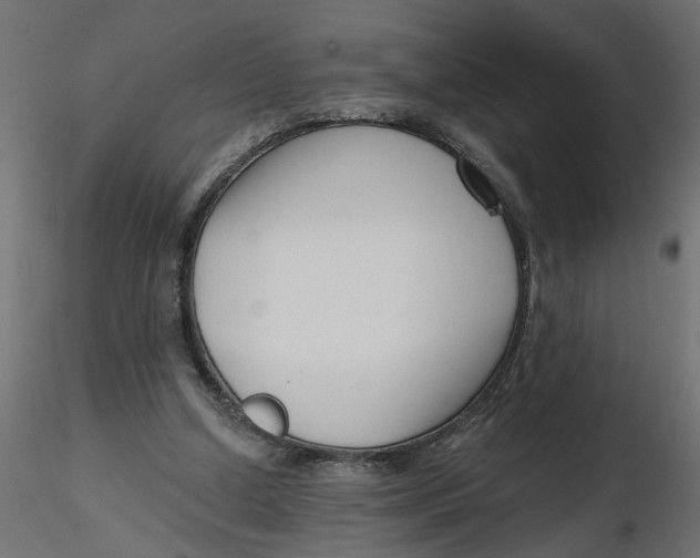 X0000116550250200912311917