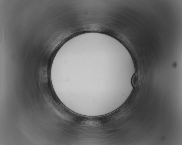 X0000116550251200912311917