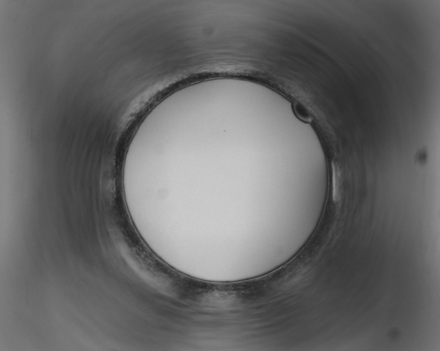 X0000116550252200912311917