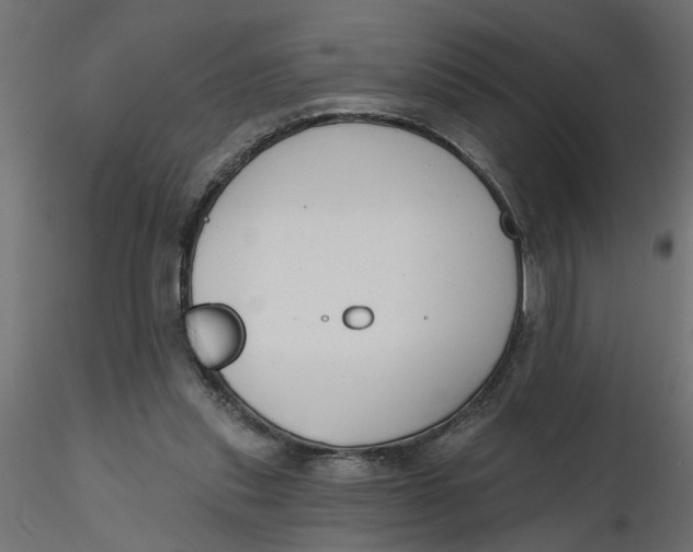 X0000116550253200912311917