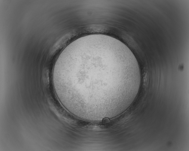 X0000116550254200912311917