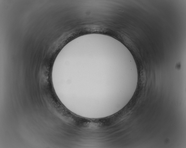 X0000116550255200912311917