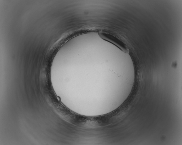 X0000116550256200912311917