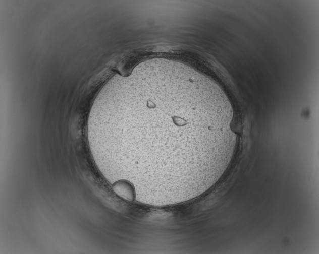 X0000116550257200912311917