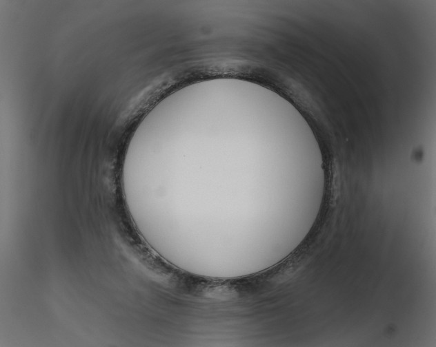 X0000116550258200912311917