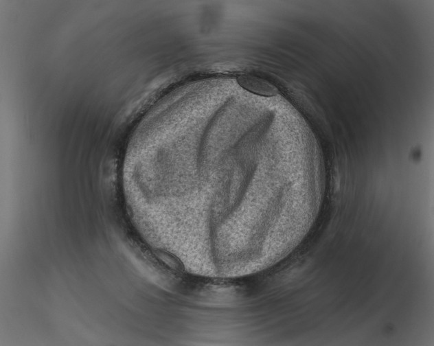 X0000116550260200912311918