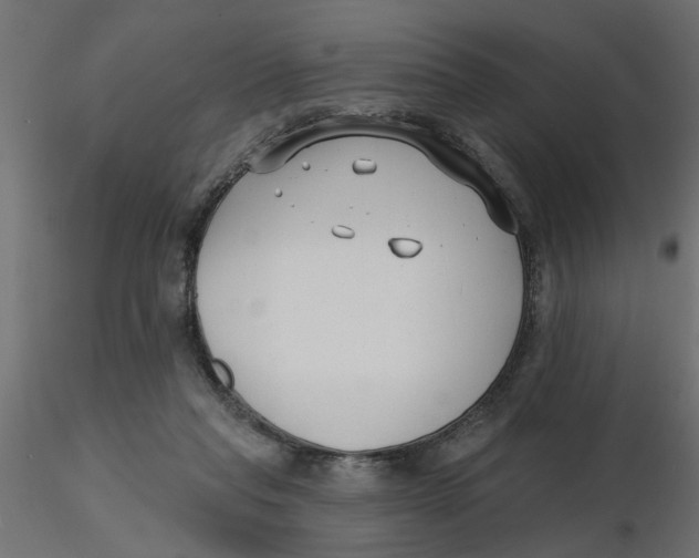 X0000116550261200912311918