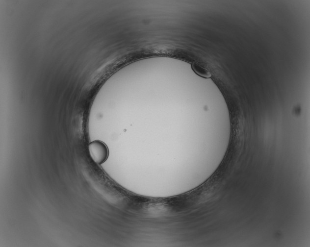 X0000116550262200912311918