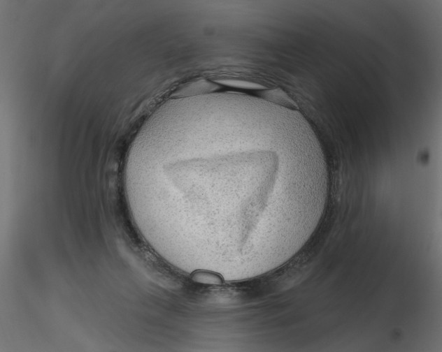 X0000116550263200912311918