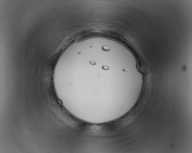 X0000116550265200912311918