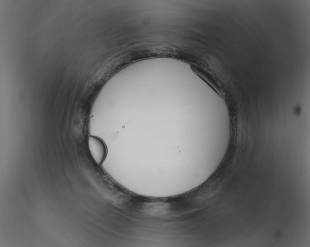 X0000116550266200912311918