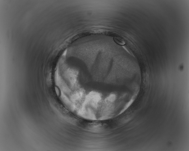 X0000116550267200912311918