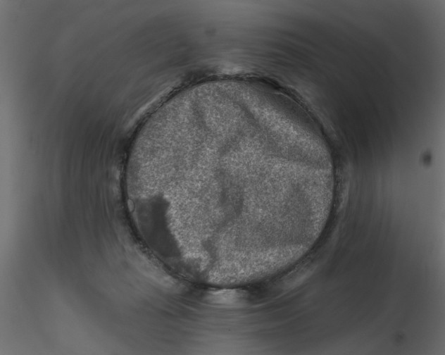 X0000116550269200912311918