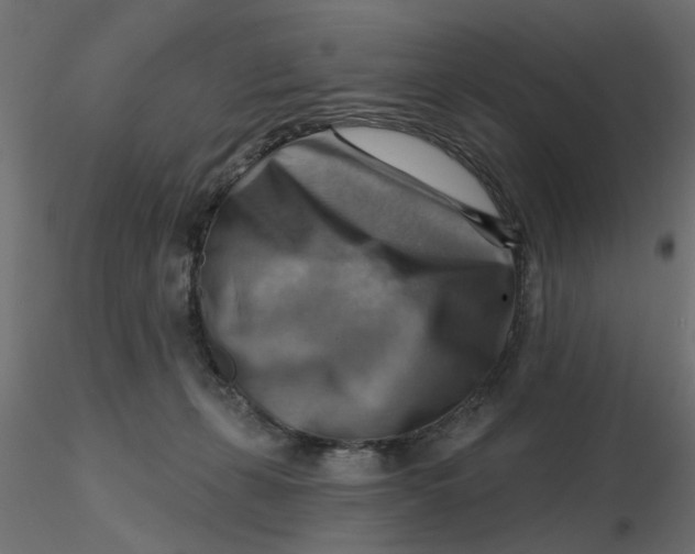 X0000116550271200912311918