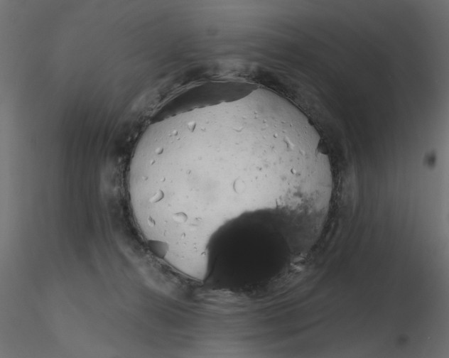 X0000116550272200912311918