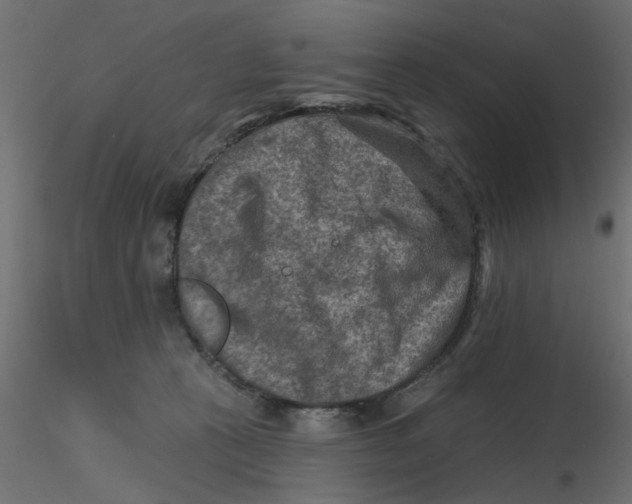 X0000116550273200912311918