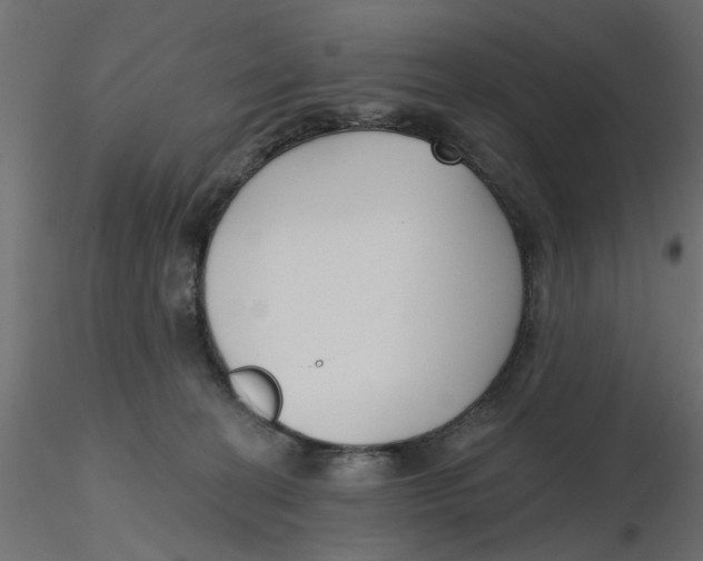 X0000116550274200912311918