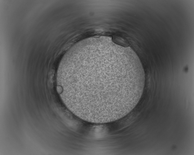 X0000116550275200912311918