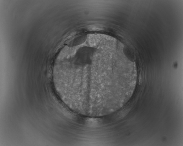 X0000116550277200912311918