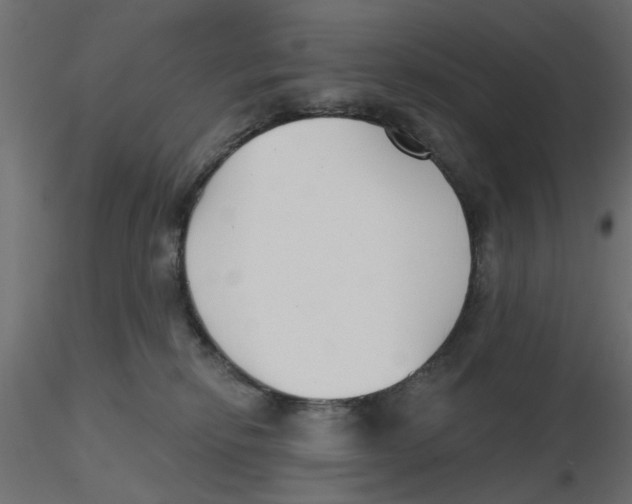 X0000116550278200912311918