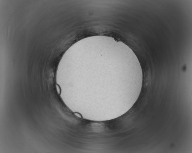 X0000116550279200912311918