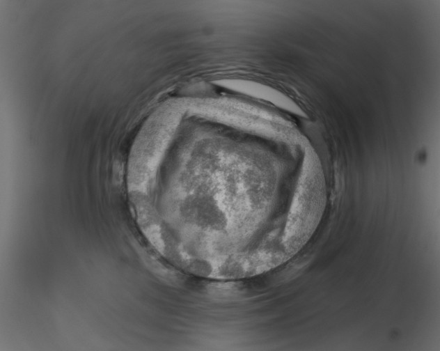 X0000116550281200912311918