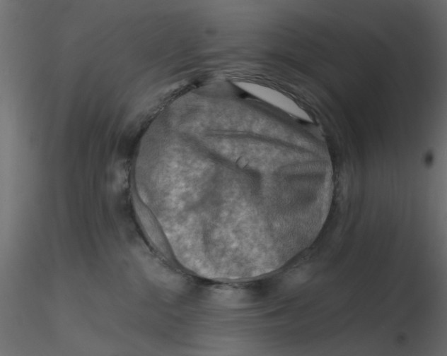 X0000116550284200912311918