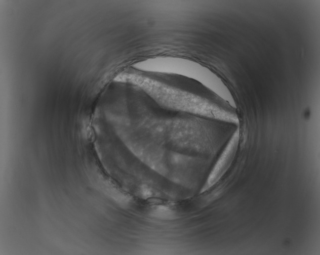 X0000116550285200912311918