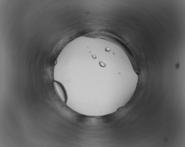 X0000116550286200912311918