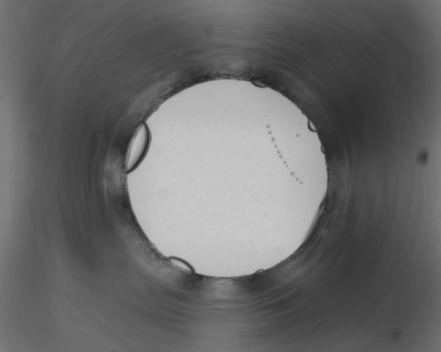 X0000116550287200912311918