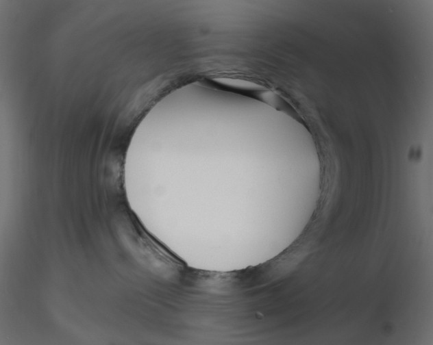 X0000116550288200912311918