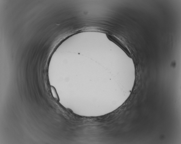 X0000116550289200912311917