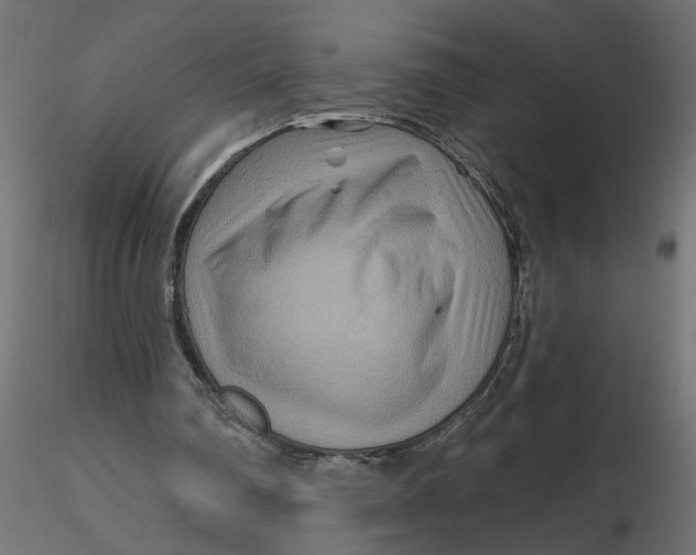 X0000116550290200912311917