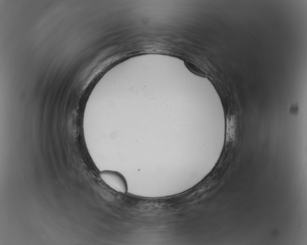 X0000116550291200912311917