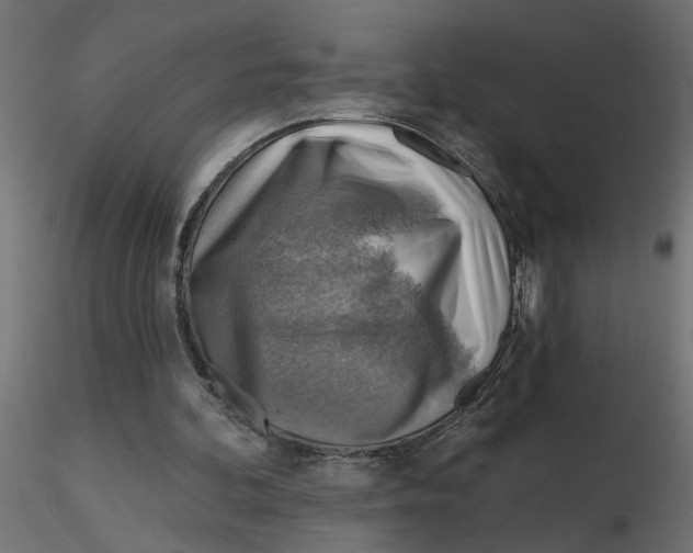 X0000116550292200912311917