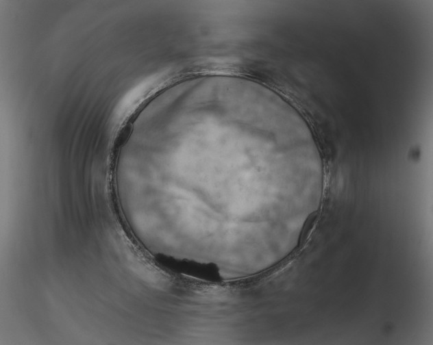 X0000116550293200912311917