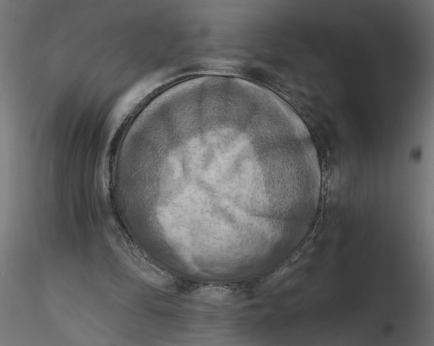 X0000116550294200912311917