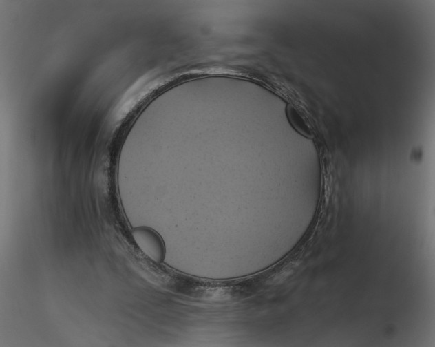 X0000116550295200912311917