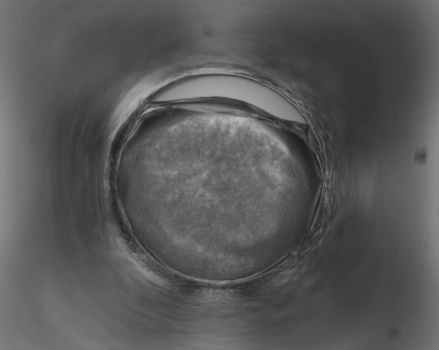 X0000116550296200912311917