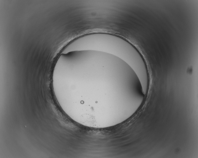 X0000116550297200912311917