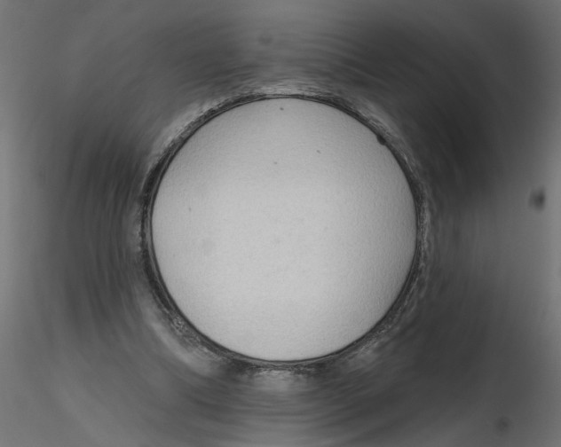 X0000116550298200912311917