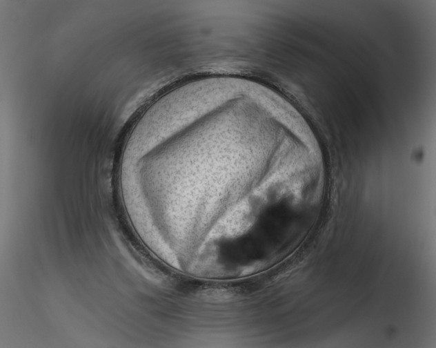 X0000116550299200912311917