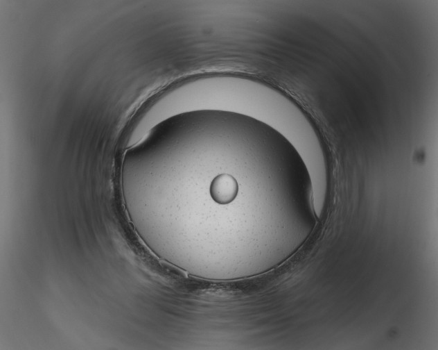 X0000116550300200912311917