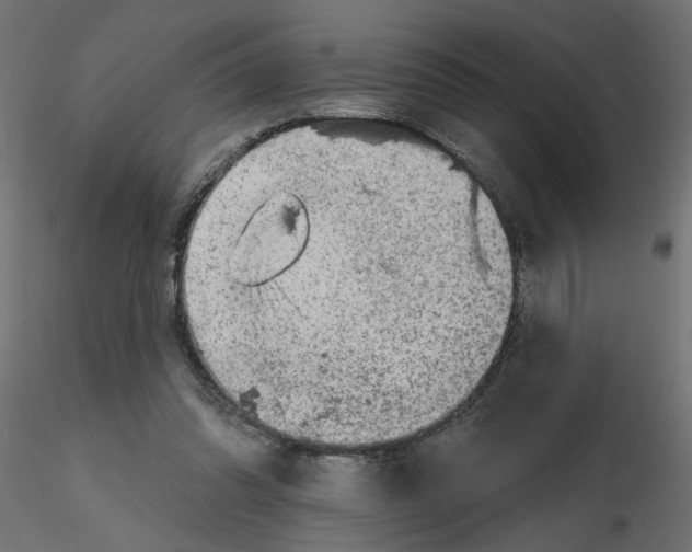 X0000116550302200912311917