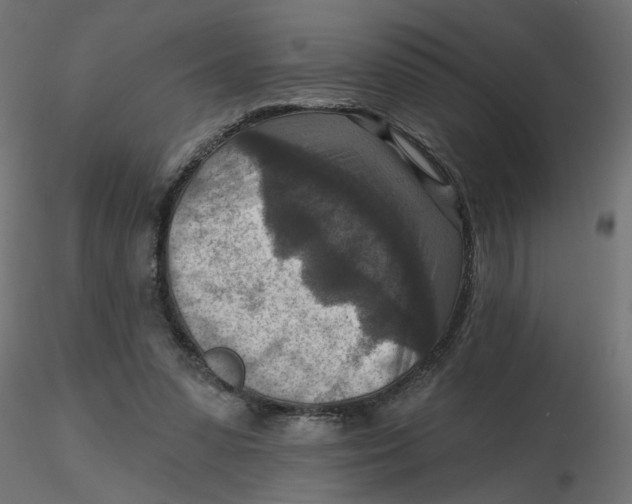 X0000116550303200912311917